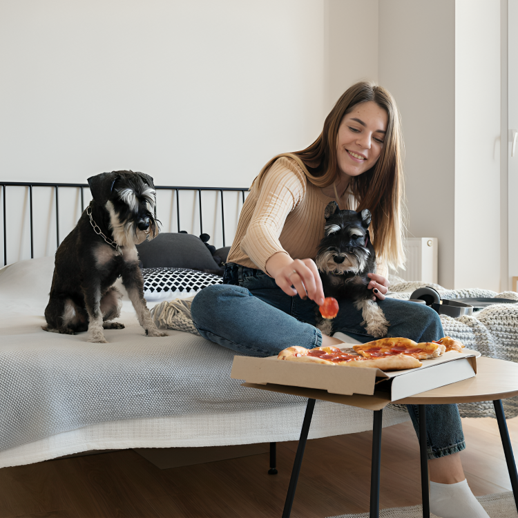 The Importance of Quality Pet Beds