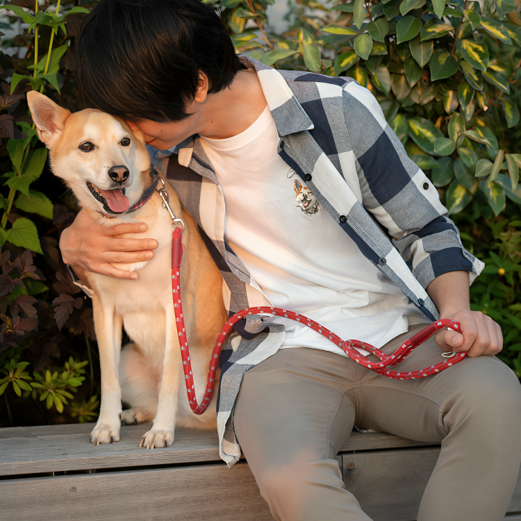 Choosing the Right Leash for Your Pet