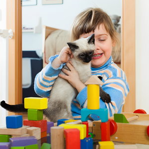 Fun & Engaging Toys for Happy Pets
