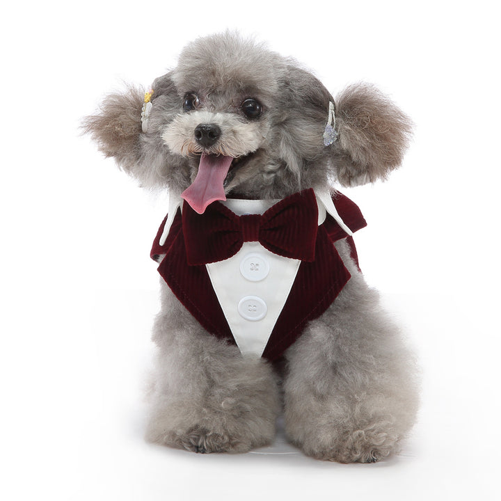 Pet Supplies Clothing Dog