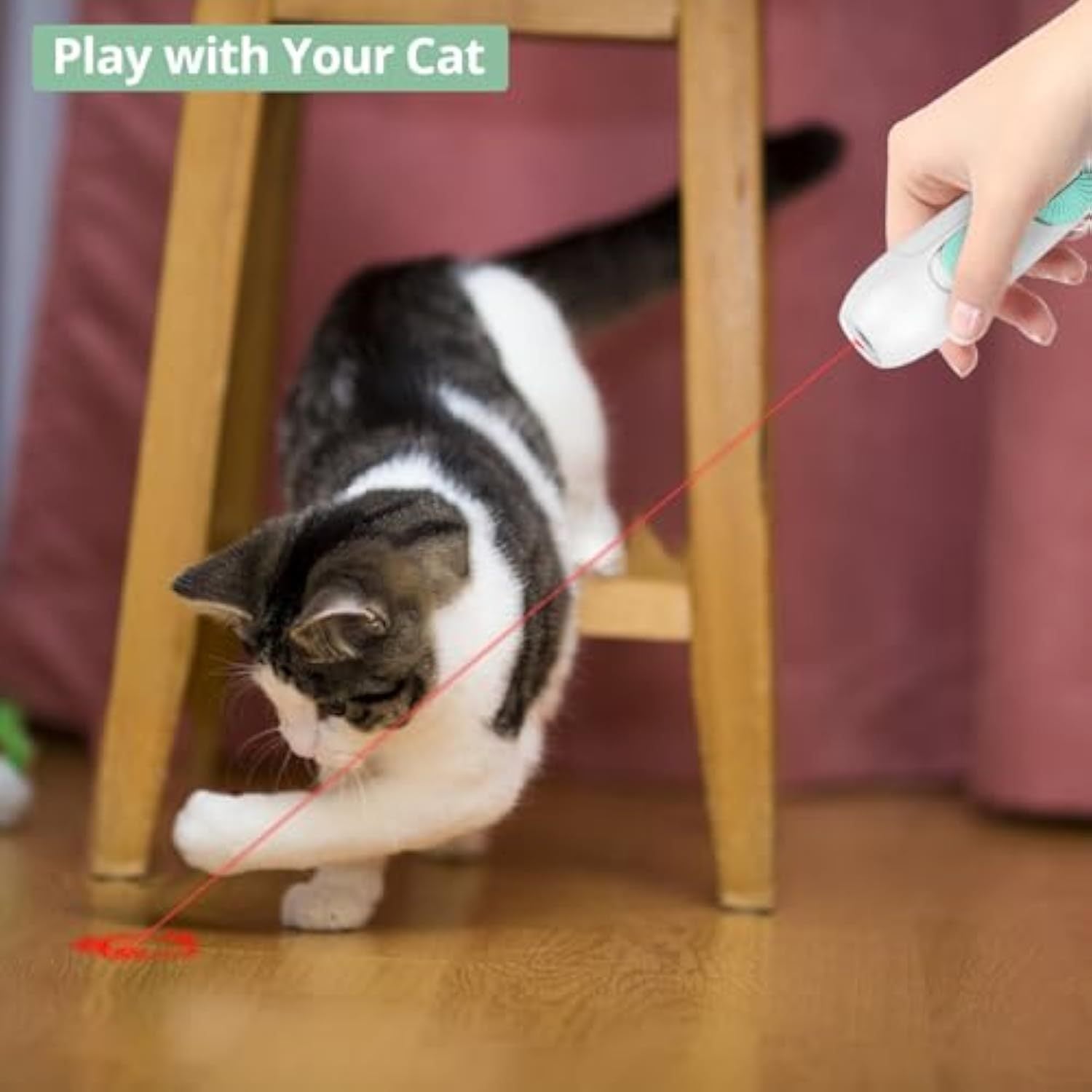 Cat Toy Interactive Laser Pointer