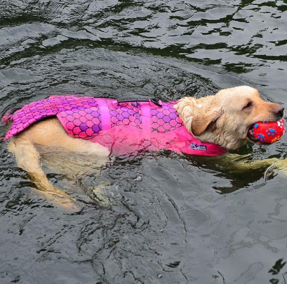 Dog pet life jackets