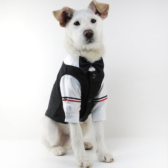 Pet Suit Gentleman Clothes