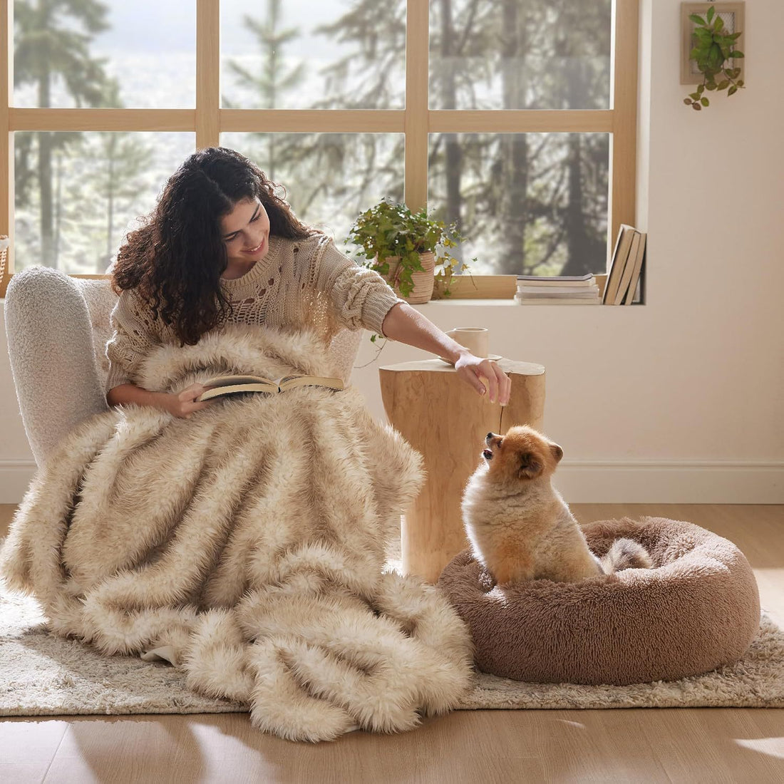 Indoor Solid Color Plush Pet Bed