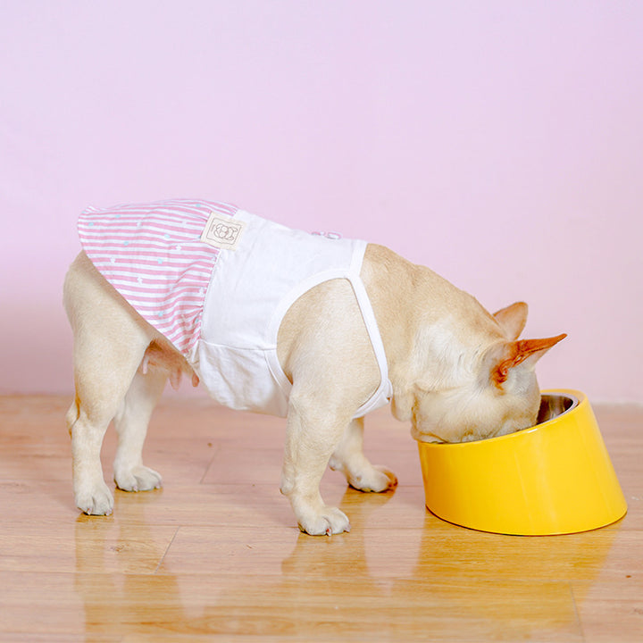 Inclined Bowl For Dogs