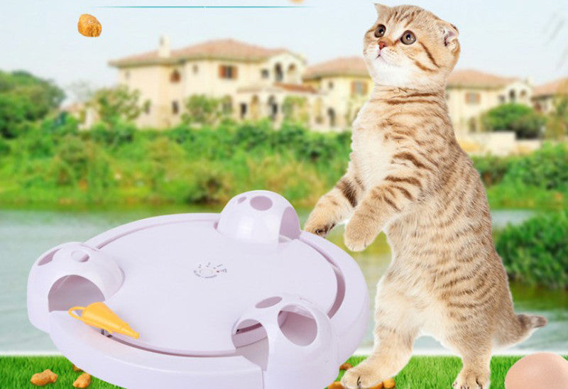 Interactive Mouse Fun Cat Toy
