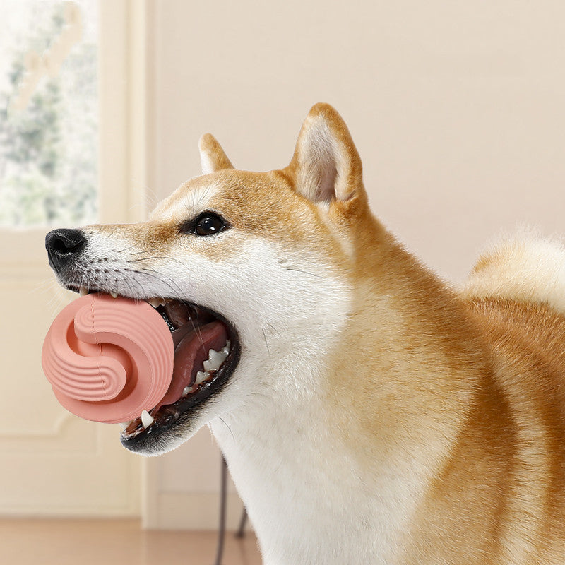 Dog Toy Bite Resistant Rubber