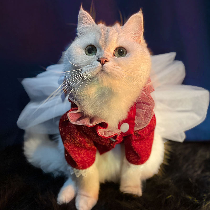 Pet Dress Wedding Dress