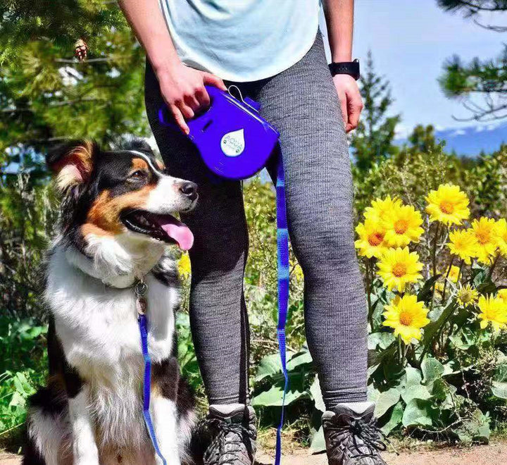 Pet Supplies Pet Leash