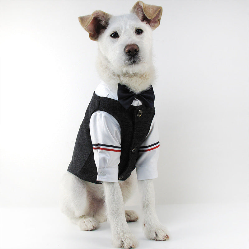 Dog Wedding Dress
