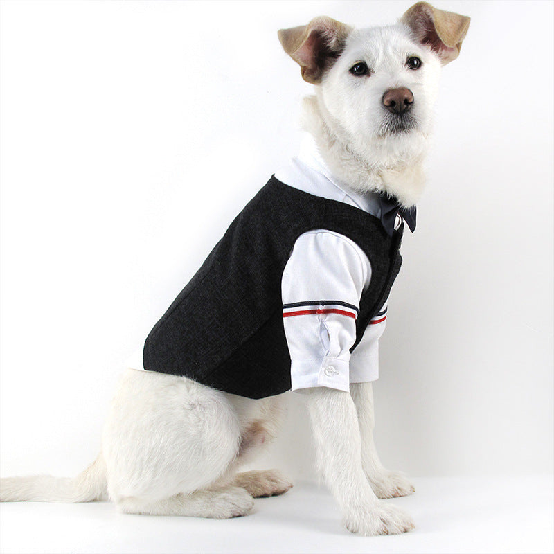 Dog Wedding Dress