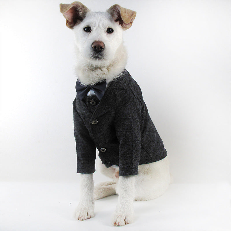 Dog Wedding Dress