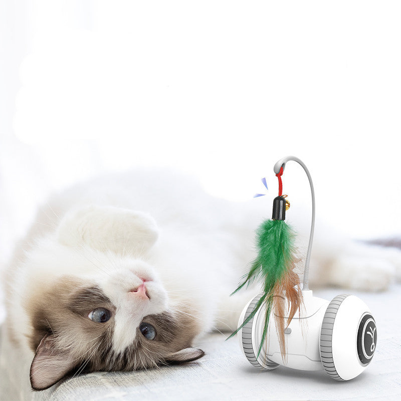 Interactive Cat Toy Feather Toys