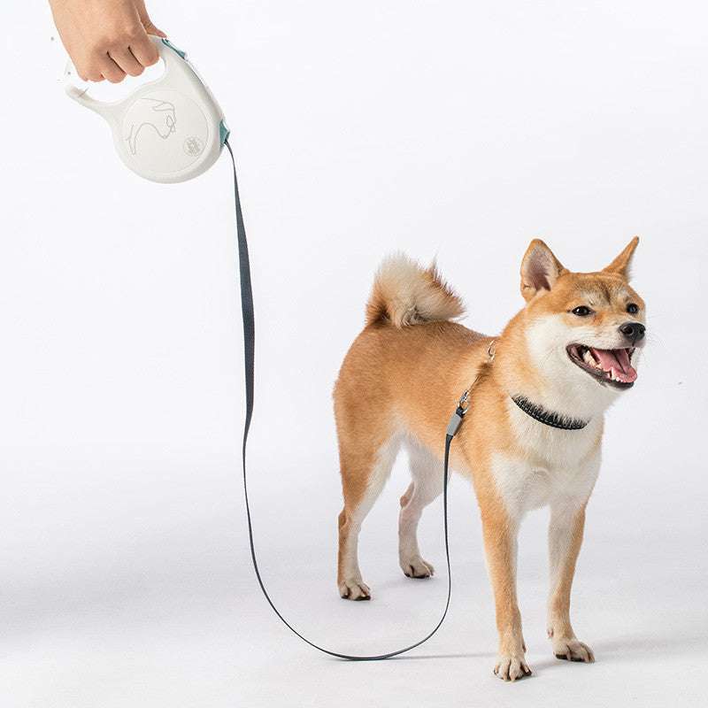Pet Retractable Leash