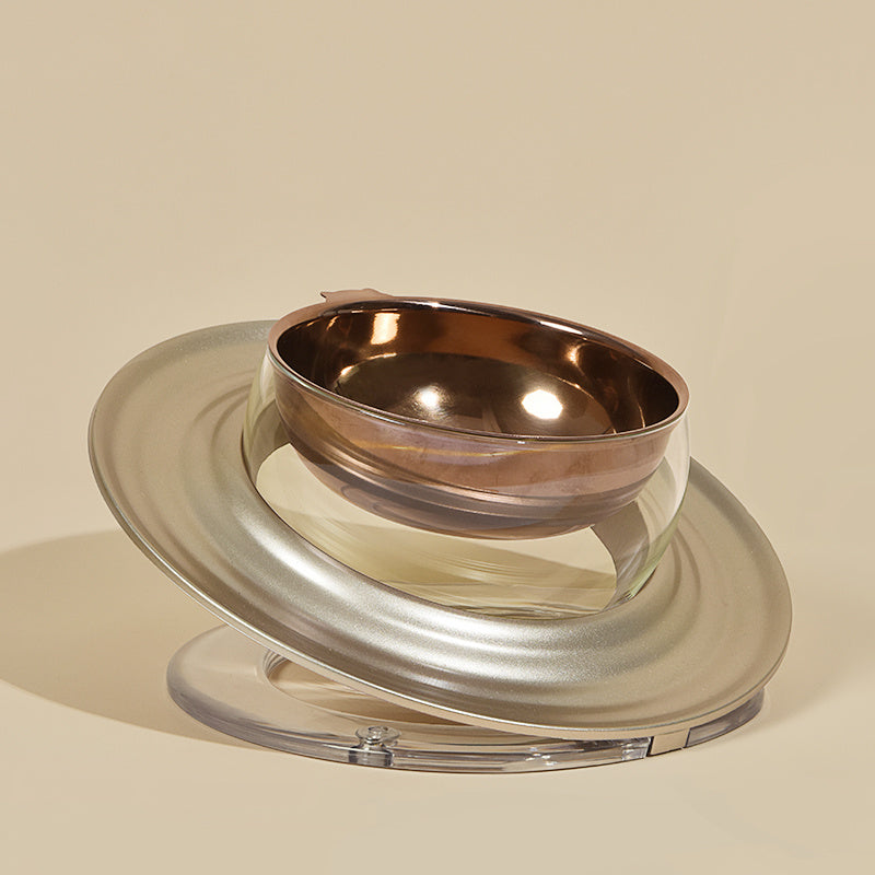 Cat Food Bowl