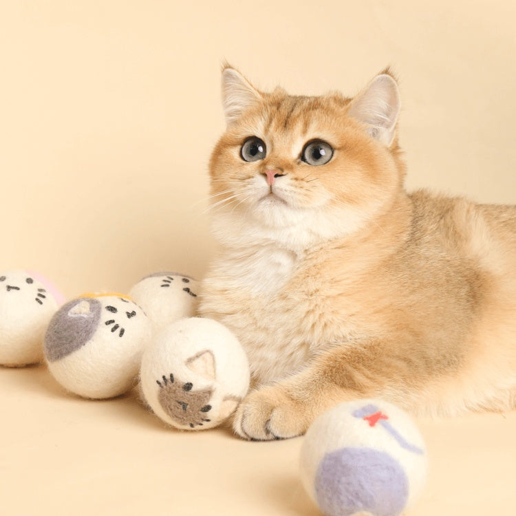 Pet Tease Cat Interactive Toy