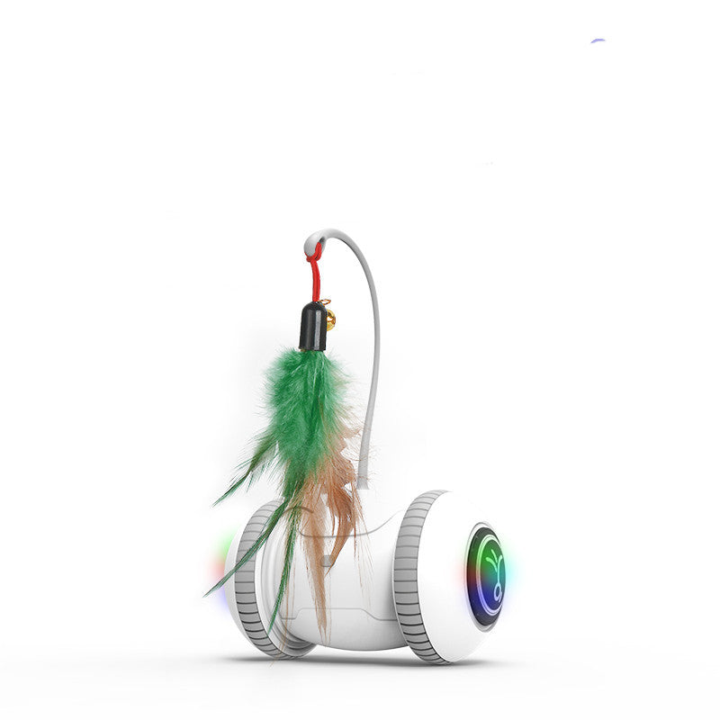 Interactive Cat Toy Feather Toys