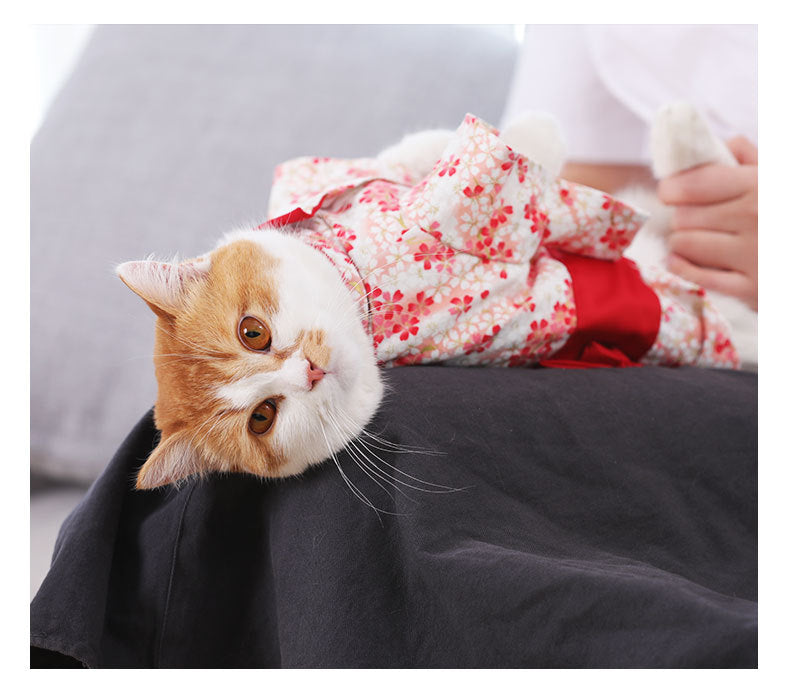 Hairless Cat Puppet Dress