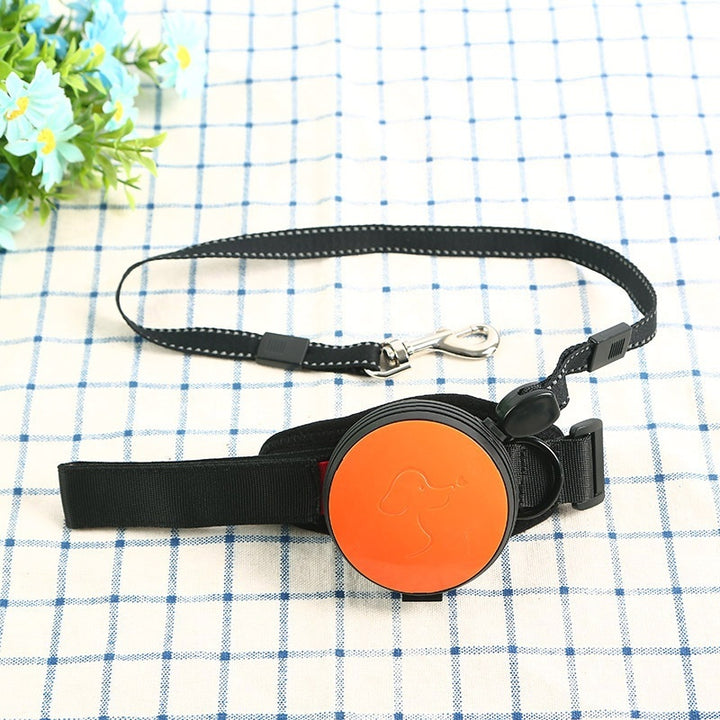 Pet Automatic Retractable Leash