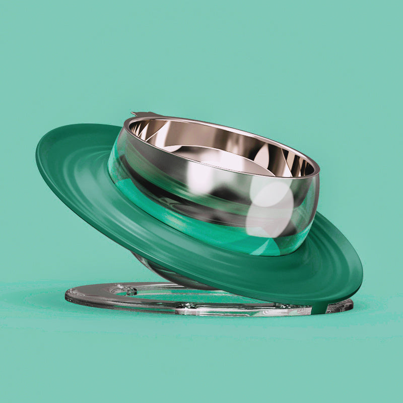 Cat Food Bowl
