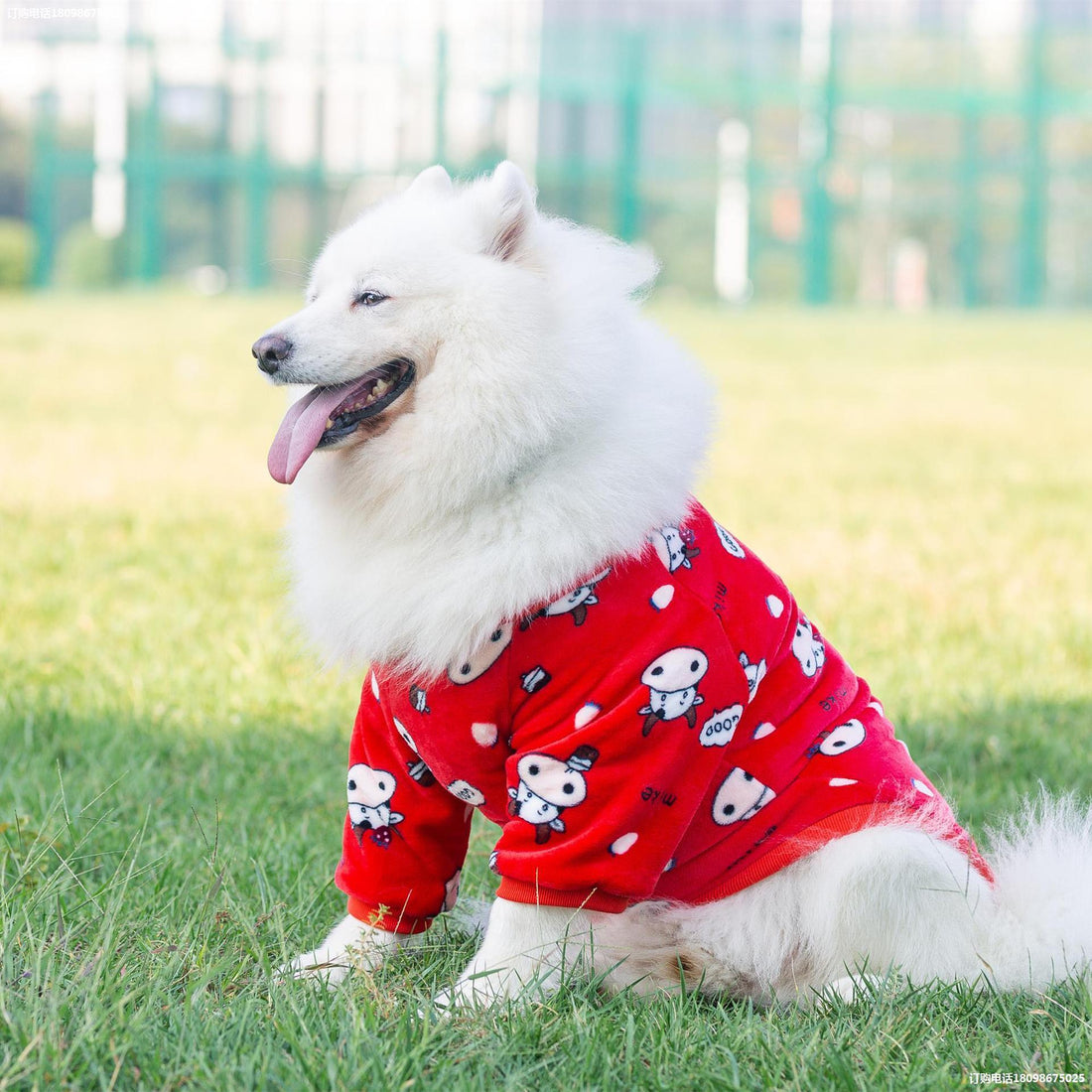 Fashion Pet Clothes Dress