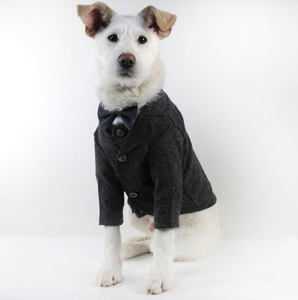 Pet Suit Gentleman Clothes