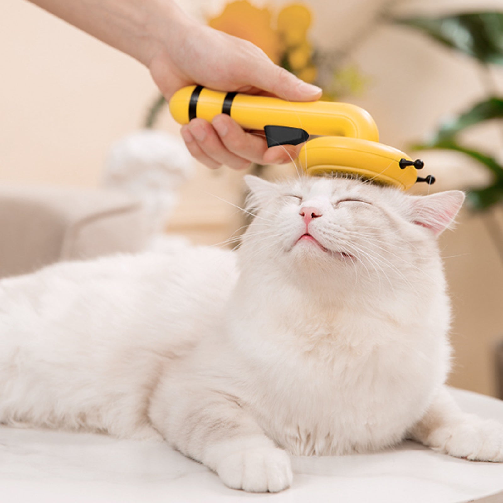 Pet Needle Comb Cat