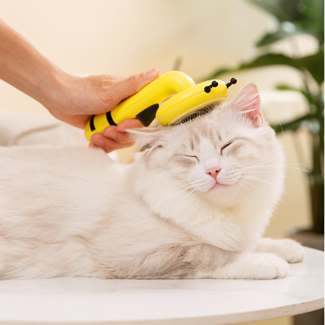 Pet Needle Comb Cat