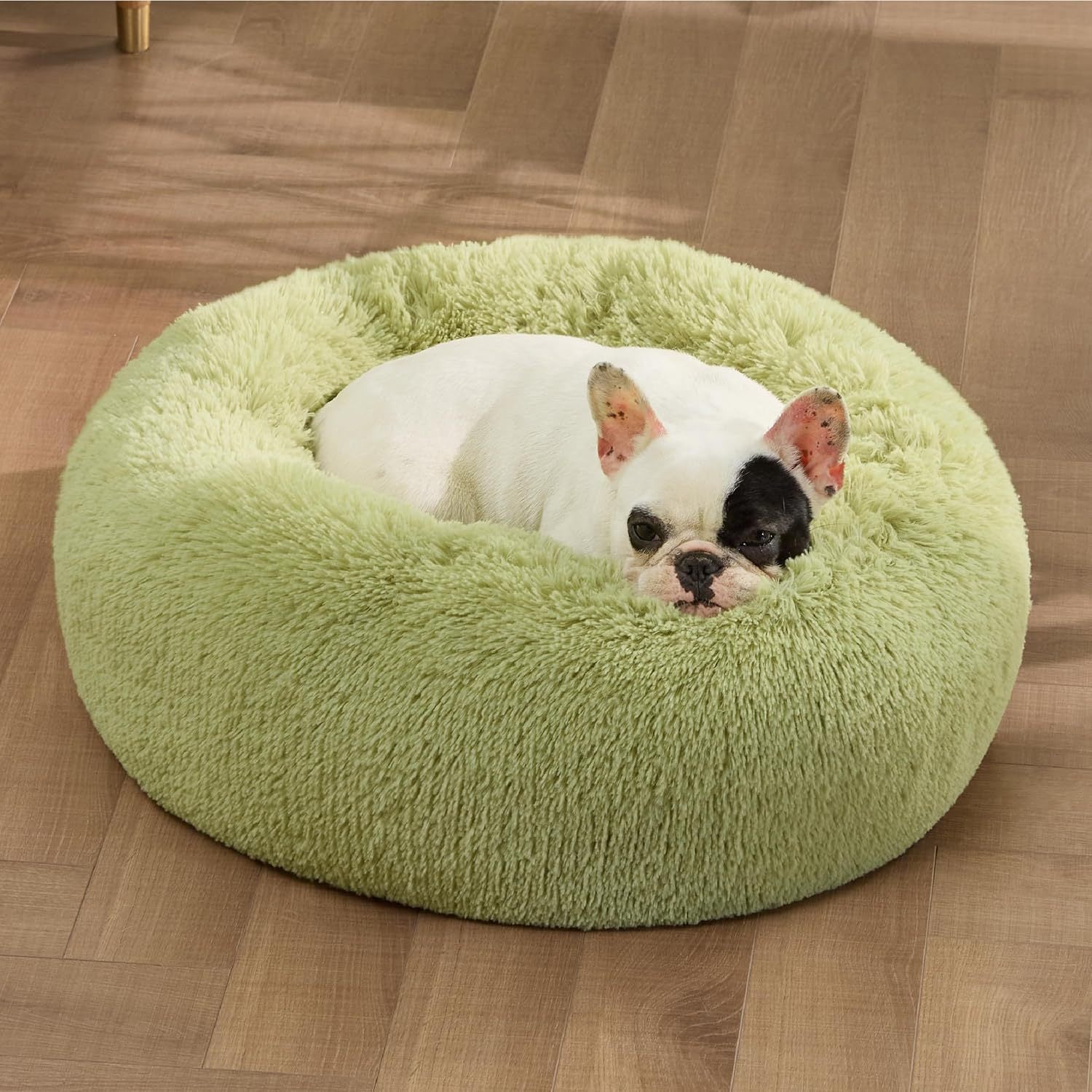 Indoor Solid Color Plush Pet Bed