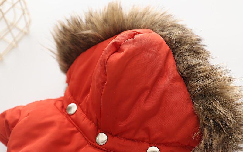 Pet Supplies Dog Clothes