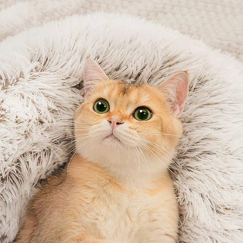 Winter New Long Plush Pet Bed