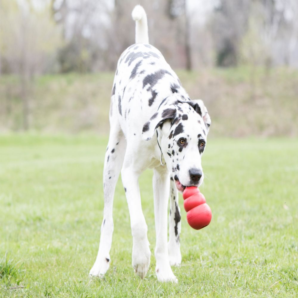 Bite-resistant Rubber Dog Toy