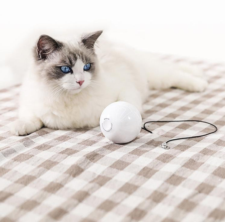 Automatic Interactive Cat Toy Ball
