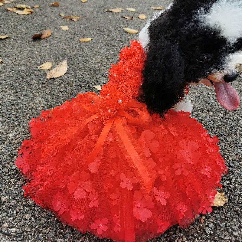 Red Flower Pet Dress