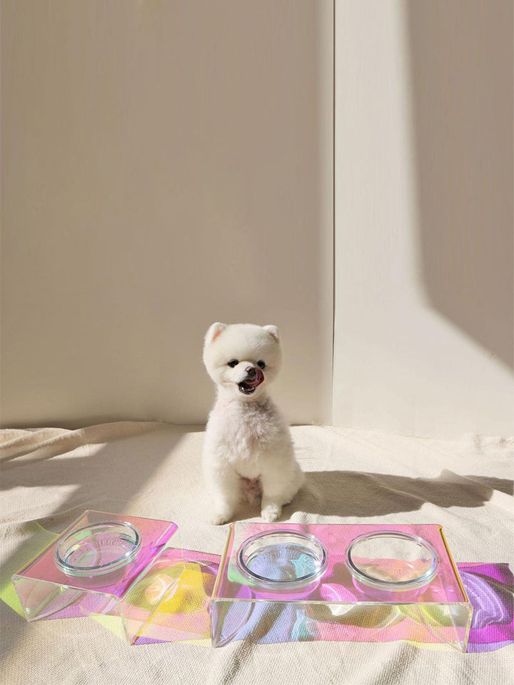 Acrylic Pet Dazzling Bowl Food