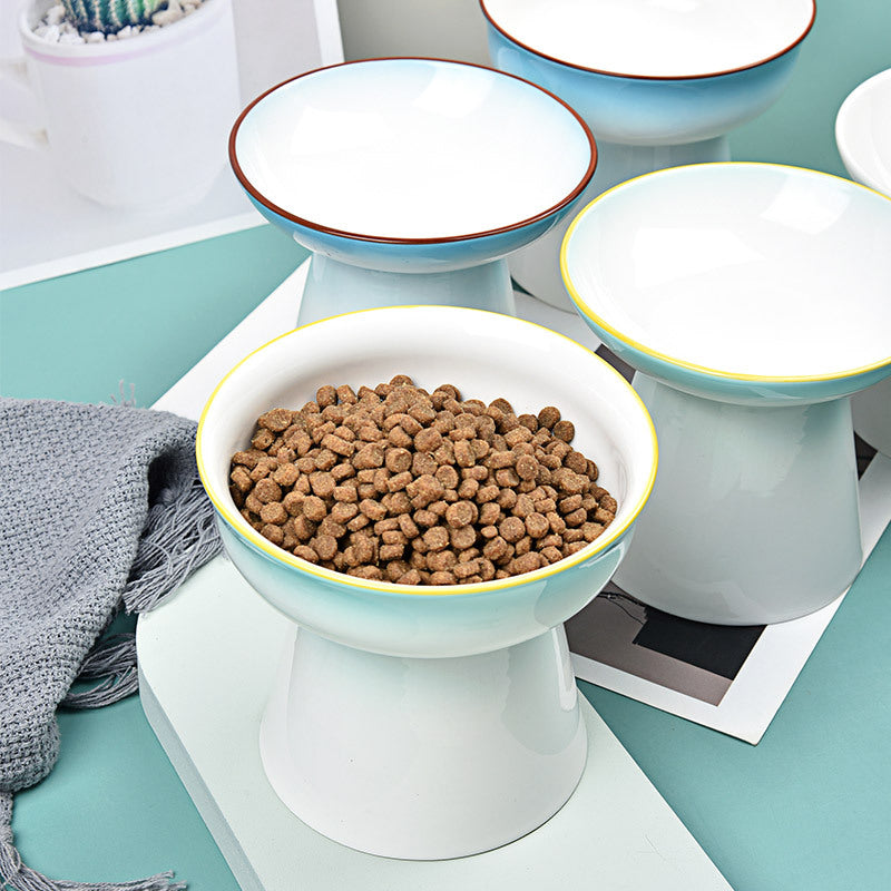 Cat Food Bowl Dog Bowl