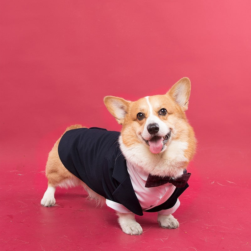 Dog Suit Swallowtail Dress Shirt