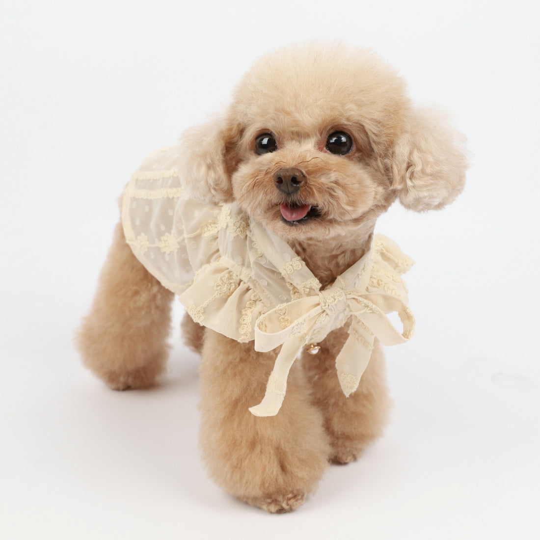 Pet Dog Summer Dress