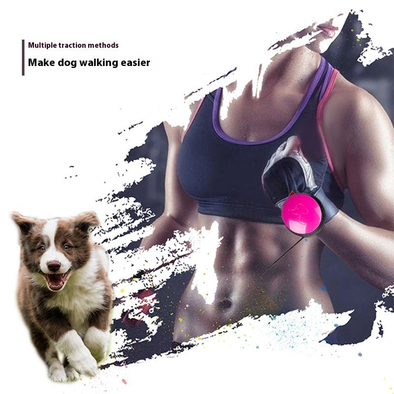 Pet Automatic Retractable Leash