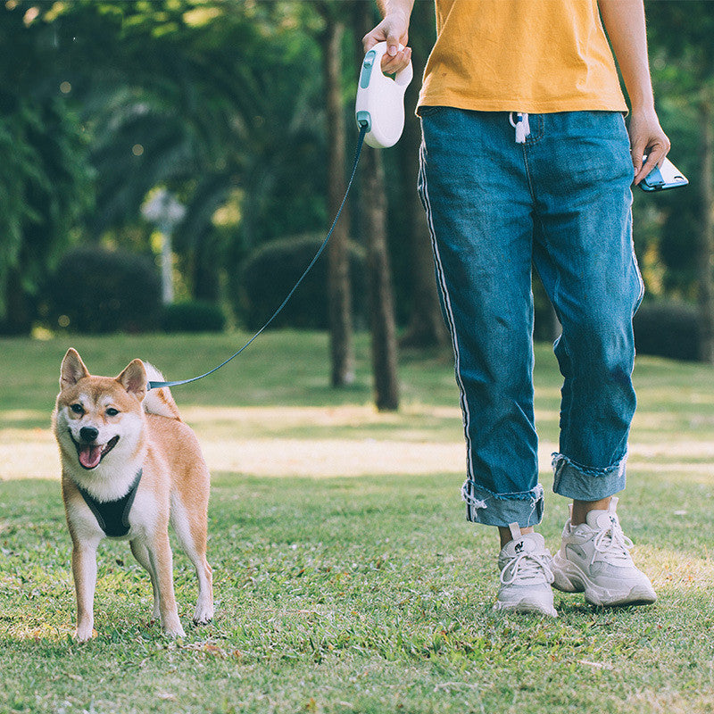 Pet Retractable Leash