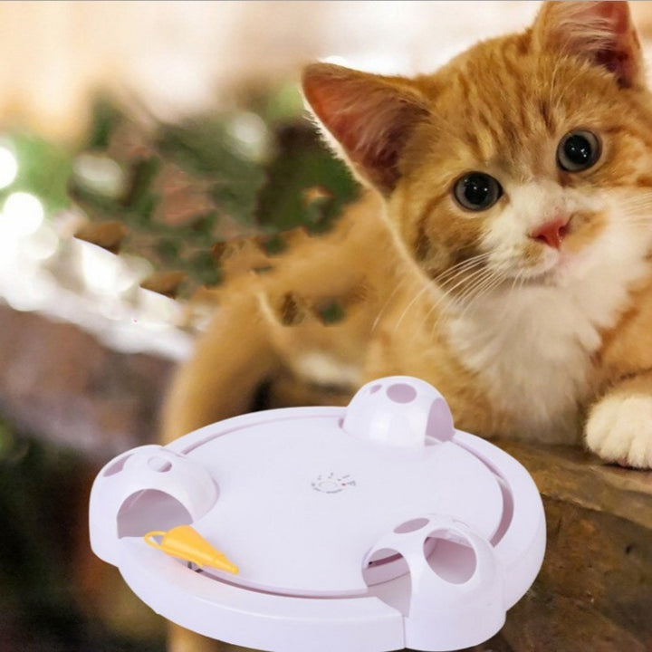 Interactive Mouse Fun Cat Toy