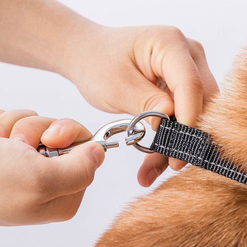 Pet Retractable Leash