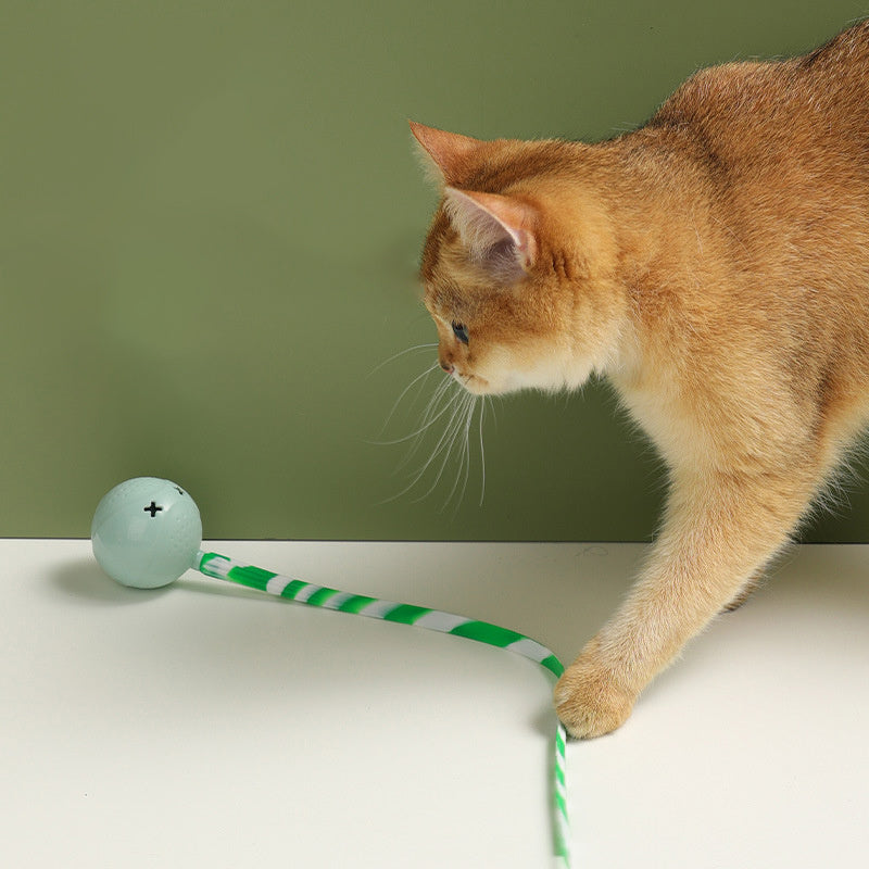 Cat Ball Toys Interactive Toy