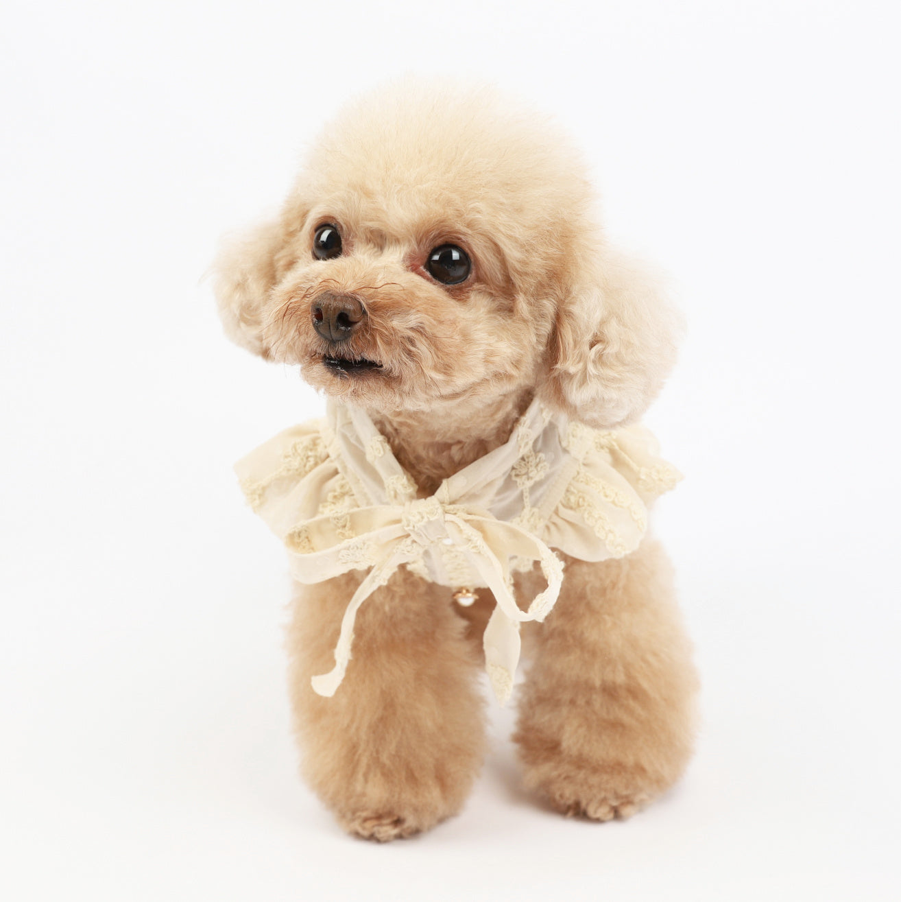 Pet Dog Summer Dress