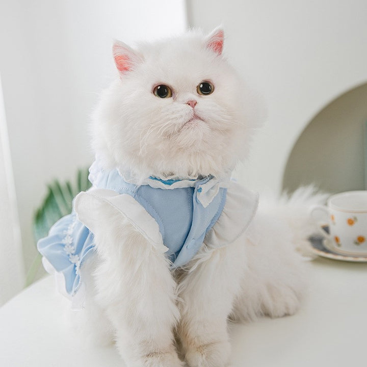 Thin Cat Princess Dress