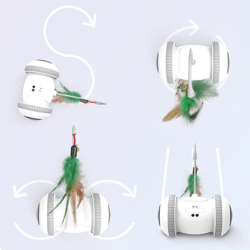 Interactive Cat Toy Feather Toys
