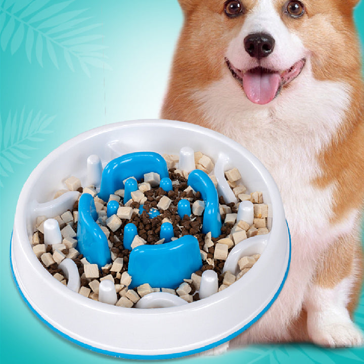 Dog Bowl Choke Slow Food