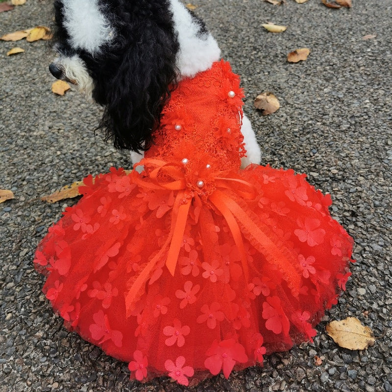 Red Flower Pet Dress