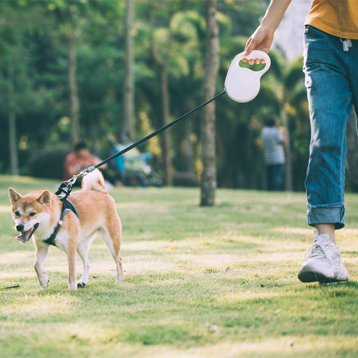 Pet Retractable Leash
