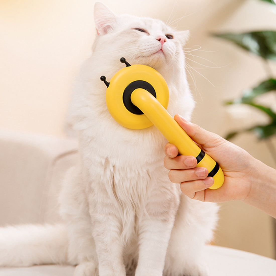 Pet Needle Comb Cat